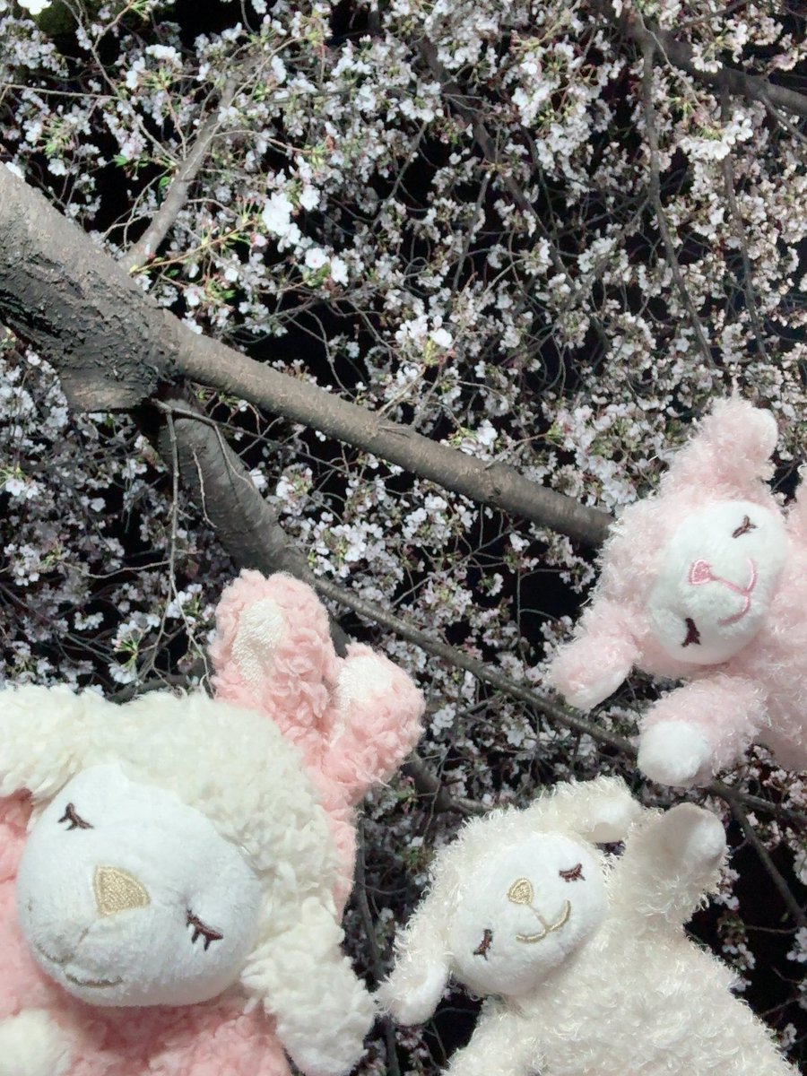 みこと tweet media