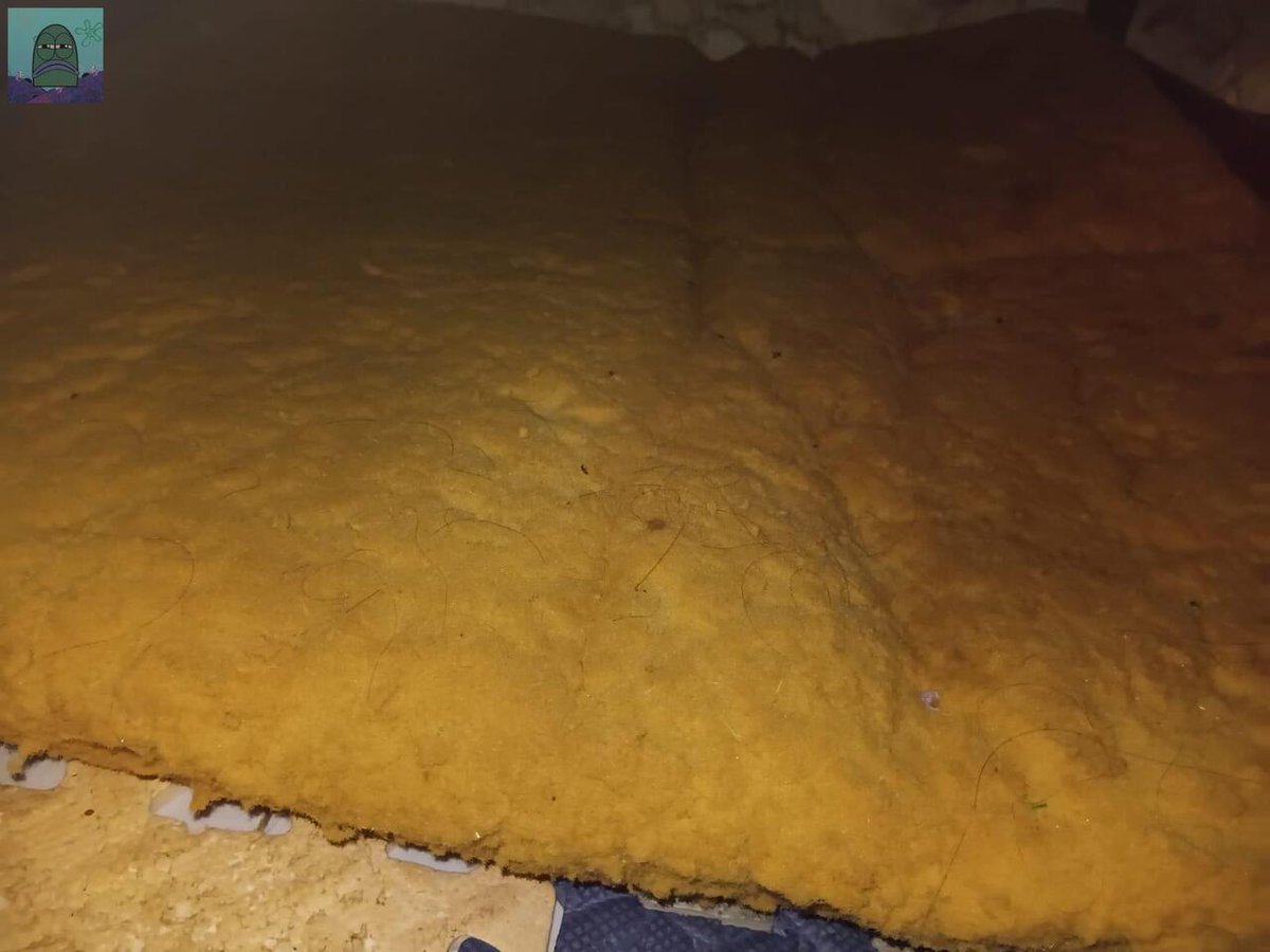 Tanyarl 💚 tweet media