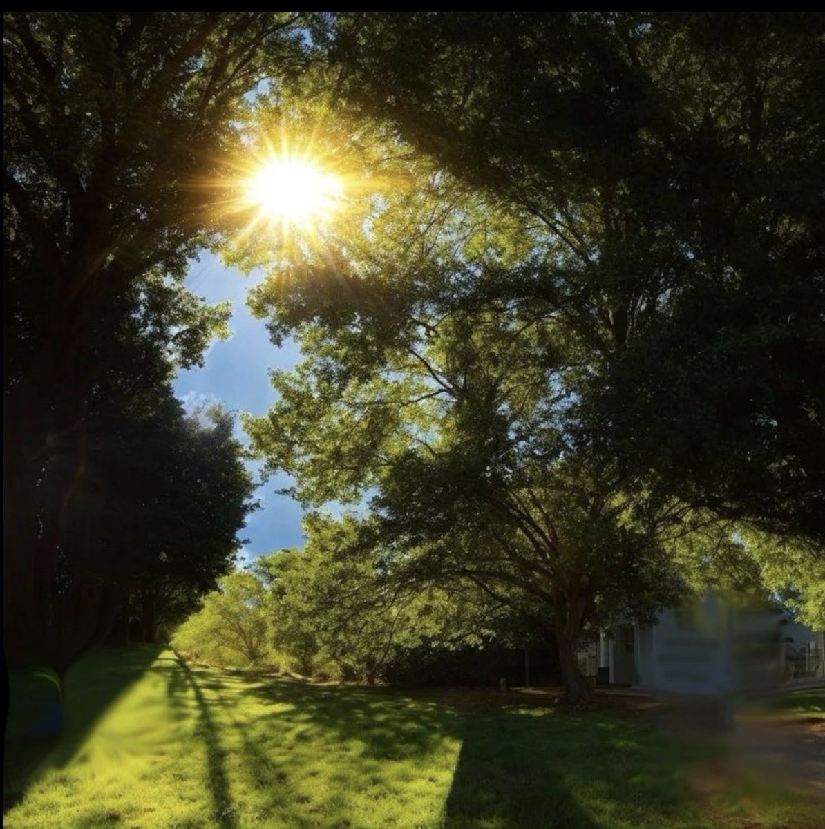 Jarvis McNigget tweet media