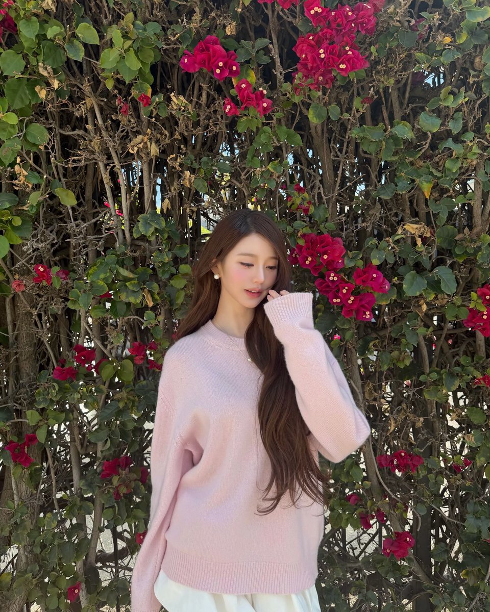 ᥫ᭡ 🪽 tweet media