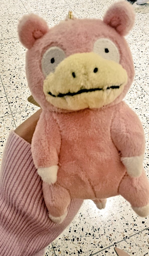 もんださん☆🥝 tweet media