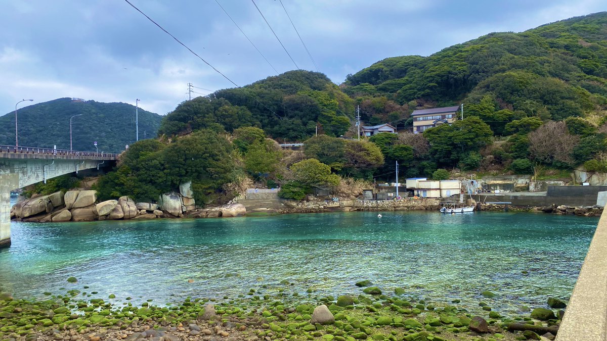 とるあん tweet media