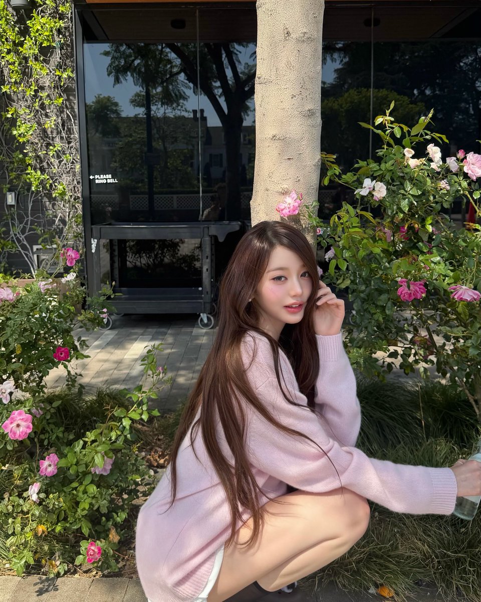 ᥫ᭡ 🪽 tweet media