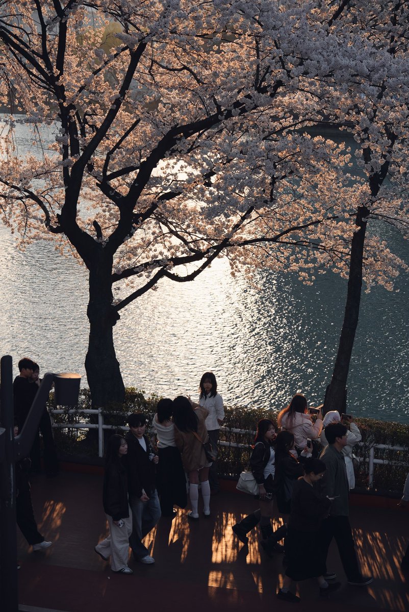 seoul_4k tweet media