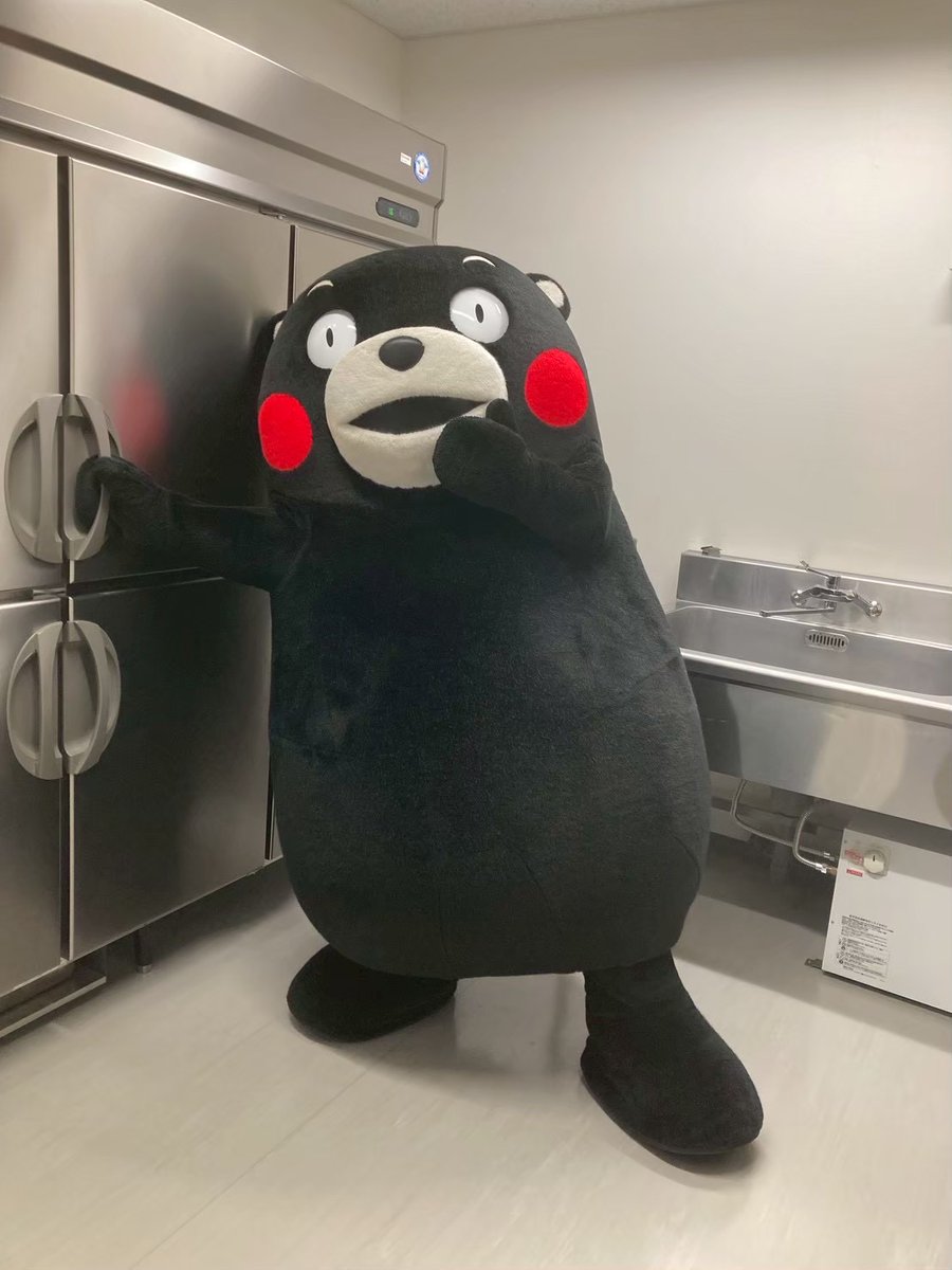 くまモン【公式】 tweet media