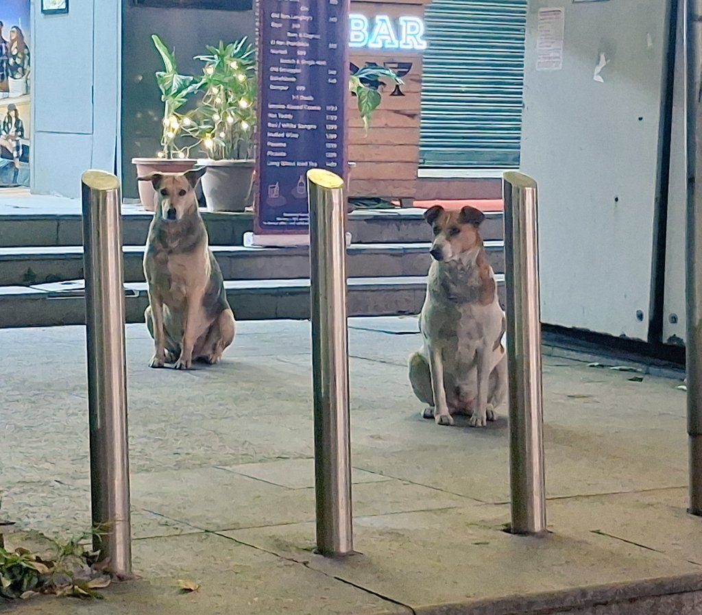 Pallavi U Dar tweet media