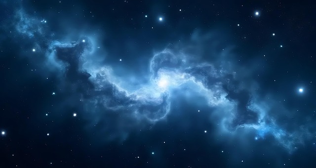 Sara Burke tweet media