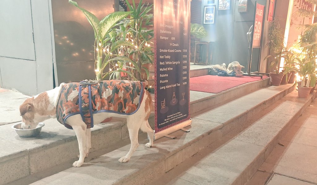 Pallavi U Dar tweet media