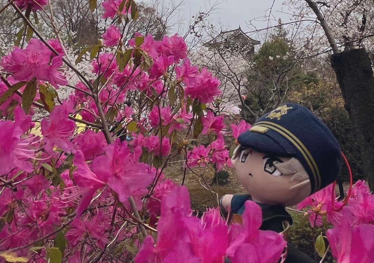 エスぬい tweet media