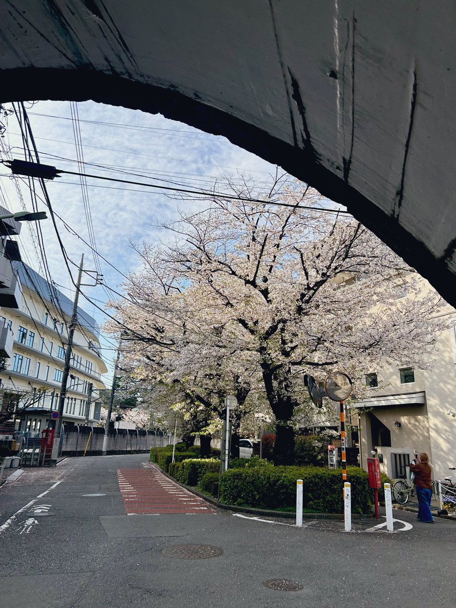 多田沙織 tweet media
