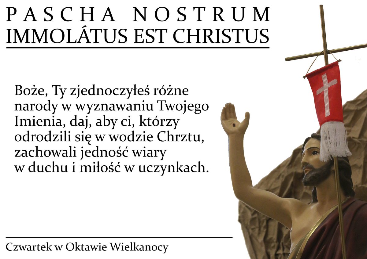 Msza Święta Trydencka tweet media