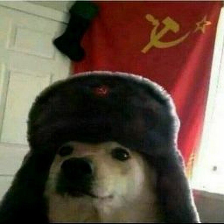 DriDenS ☭ tweet media