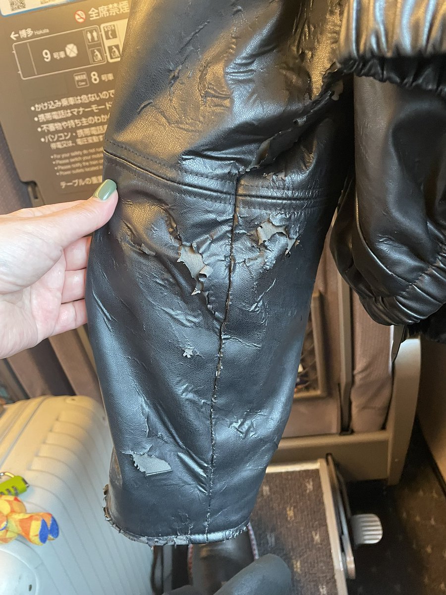 ダーちゃん tweet media