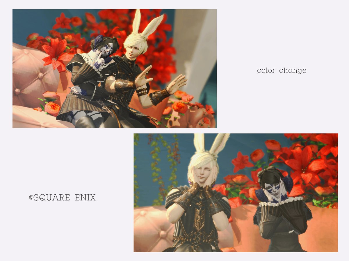 ﾚヵ゛ｺ🤚🏿＠🦁 tweet media