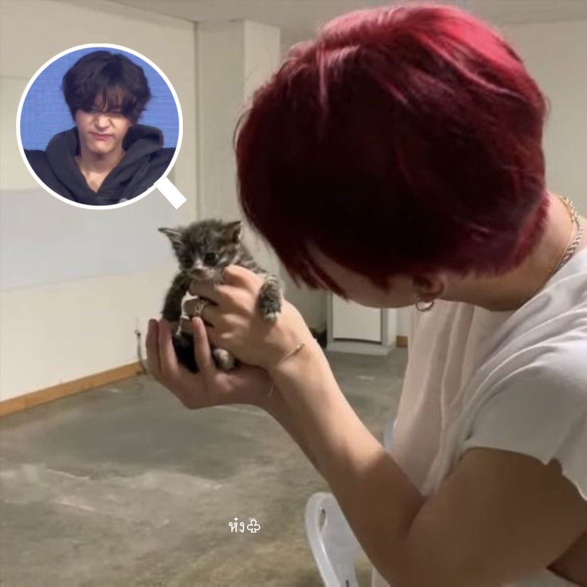 ห๋ง ♧ (slow) tweet media