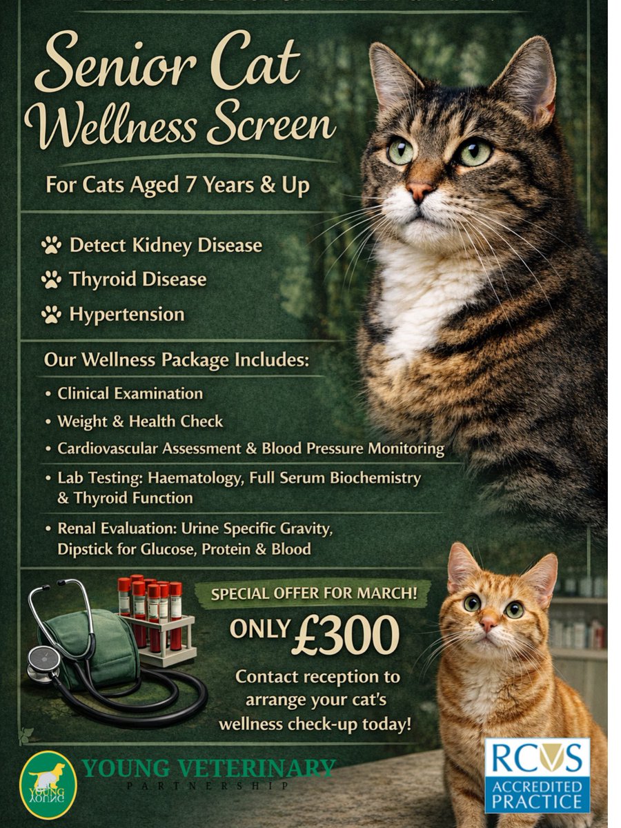 young veterinary tweet media