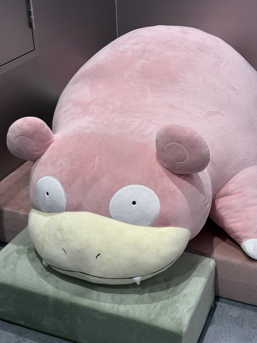 まるおか©️ tweet media