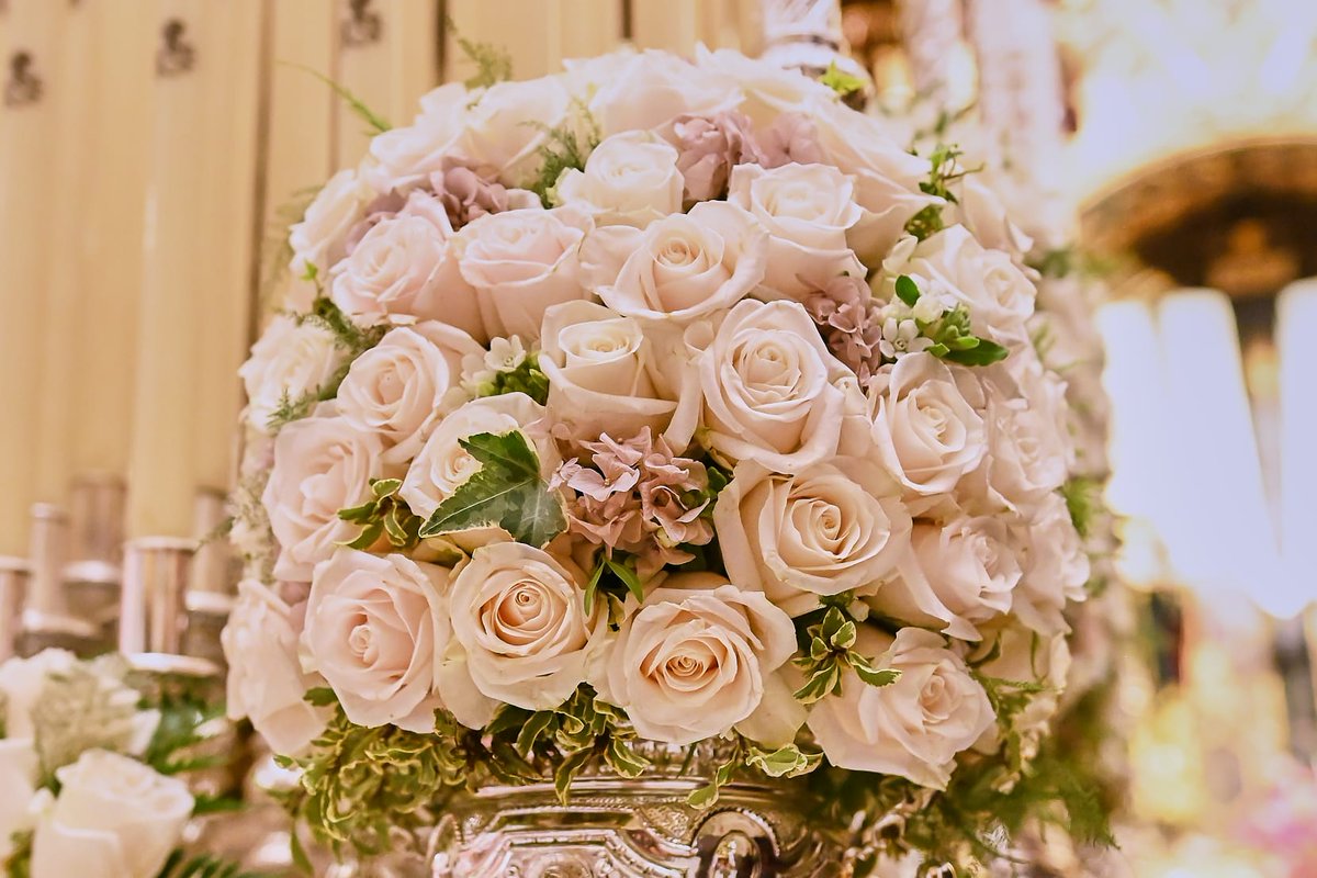 Real Hermandad Servita tweet media