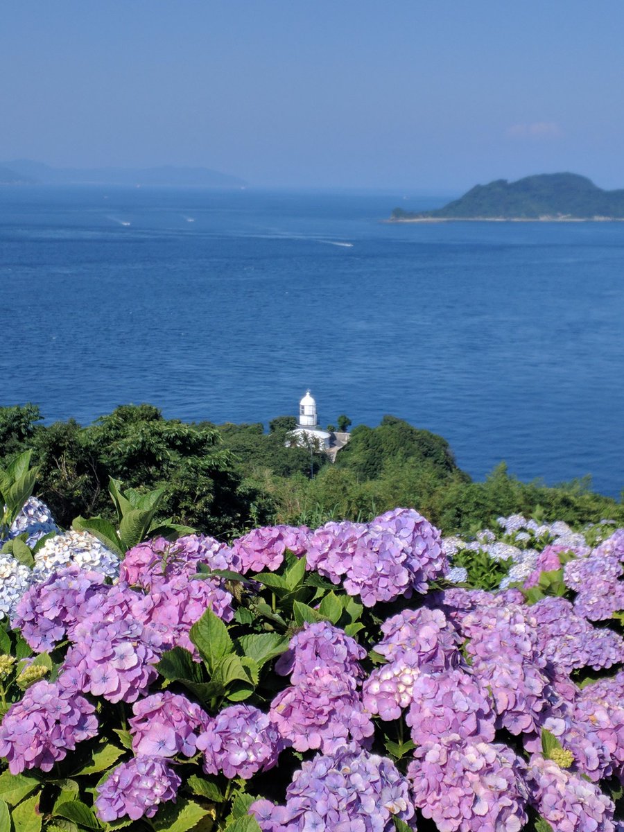 アクリる🌐 tweet media