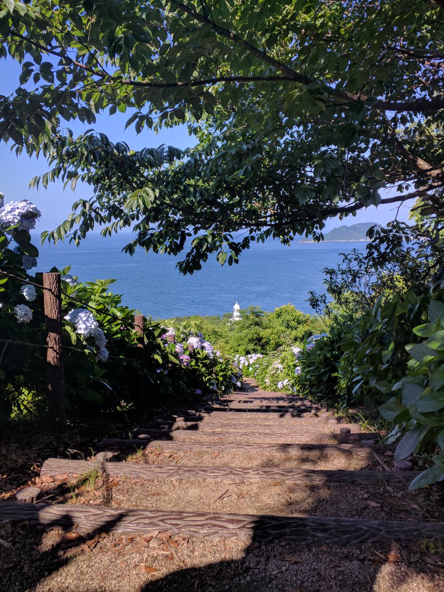 アクリる🌐 tweet media