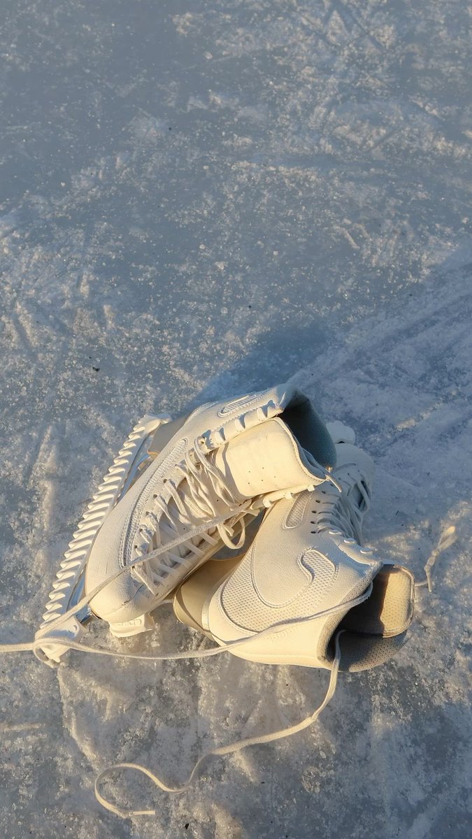 ree ❄️ tweet media