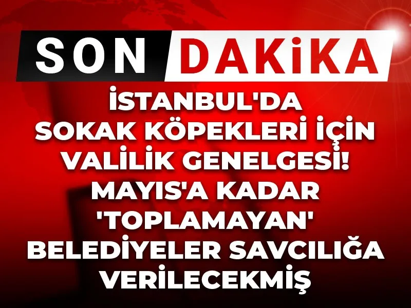 Halk TV tweet media