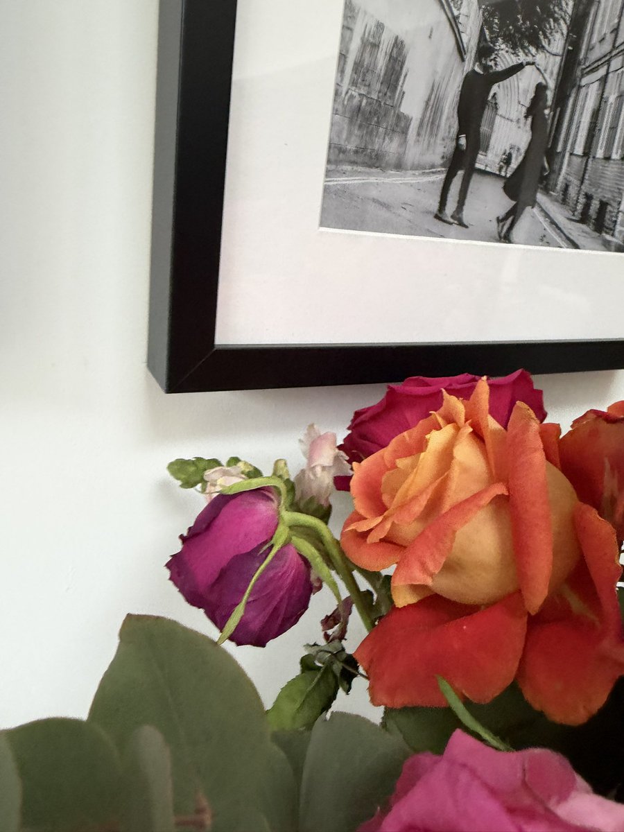 papermachecat tweet media