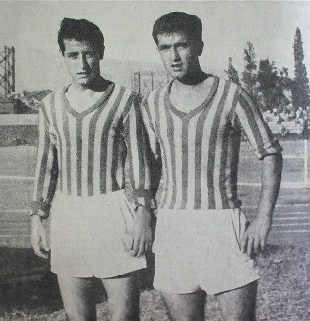 Dişi GözGözler tweet media