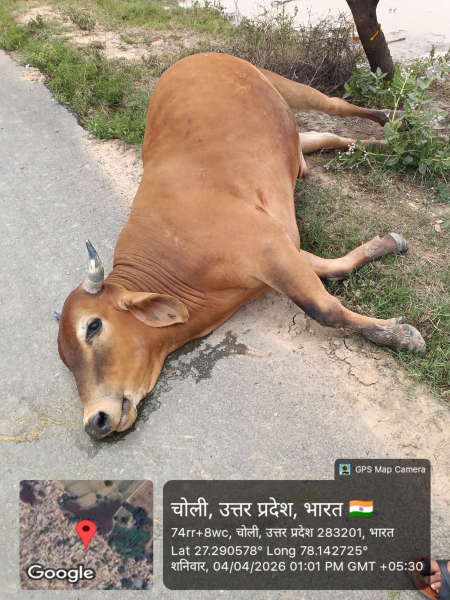TN NEWS 24 tweet media