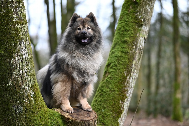 Quincy Davidson tweet media