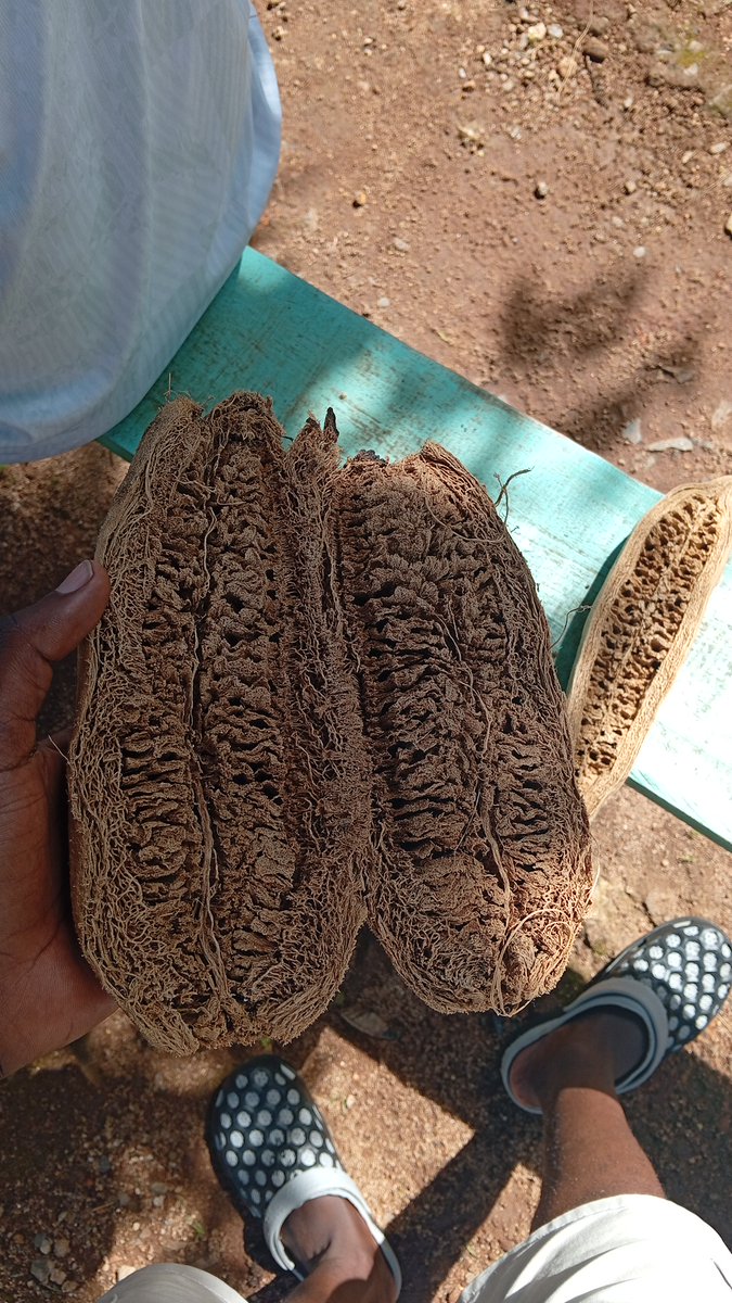 MERCHANT 1 tweet media