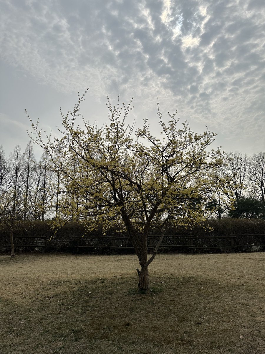 Daniel Constantine tweet media