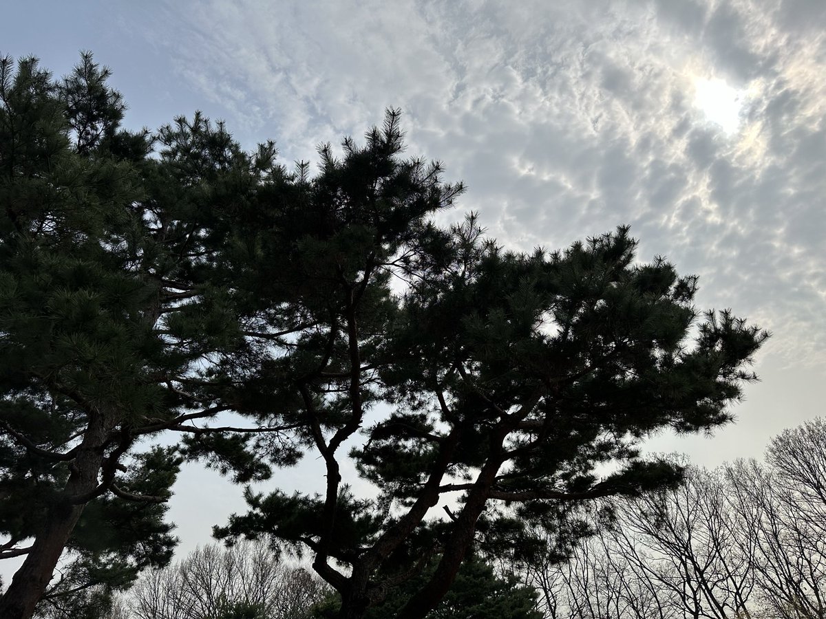 Daniel Constantine tweet media