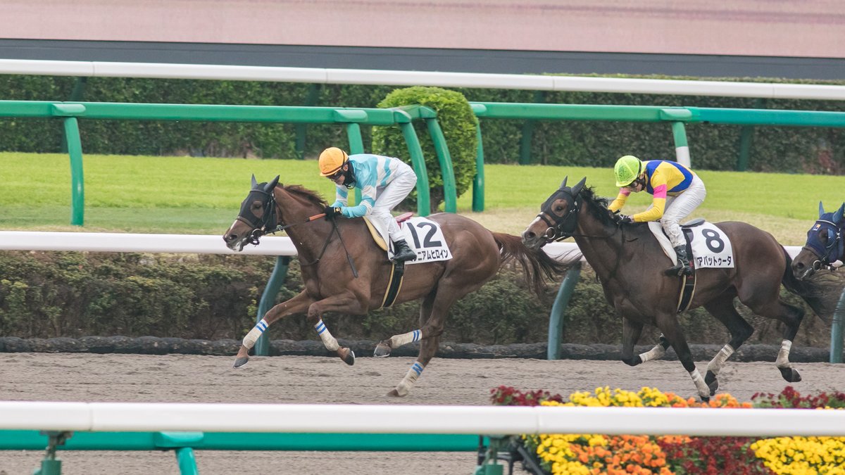 ライシャワー tweet media