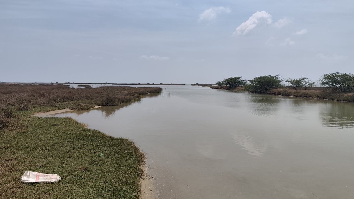 しょこたる🇮🇳 tweet media