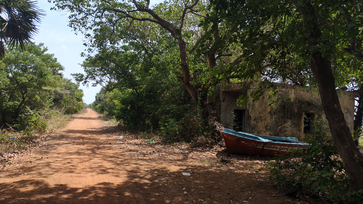 しょこたる🇮🇳 tweet media