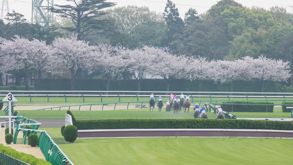 ライシャワー tweet media