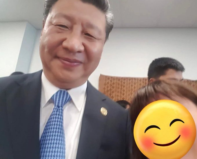 Ⓐ安喵鹅禁评😸 tweet media