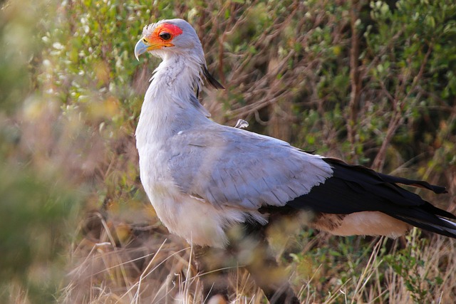 Bryden Dean tweet media