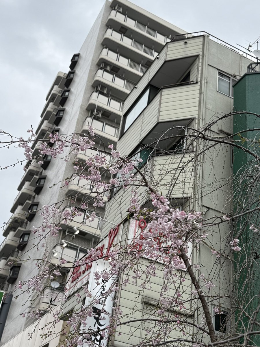 吉原オヤジ tweet media