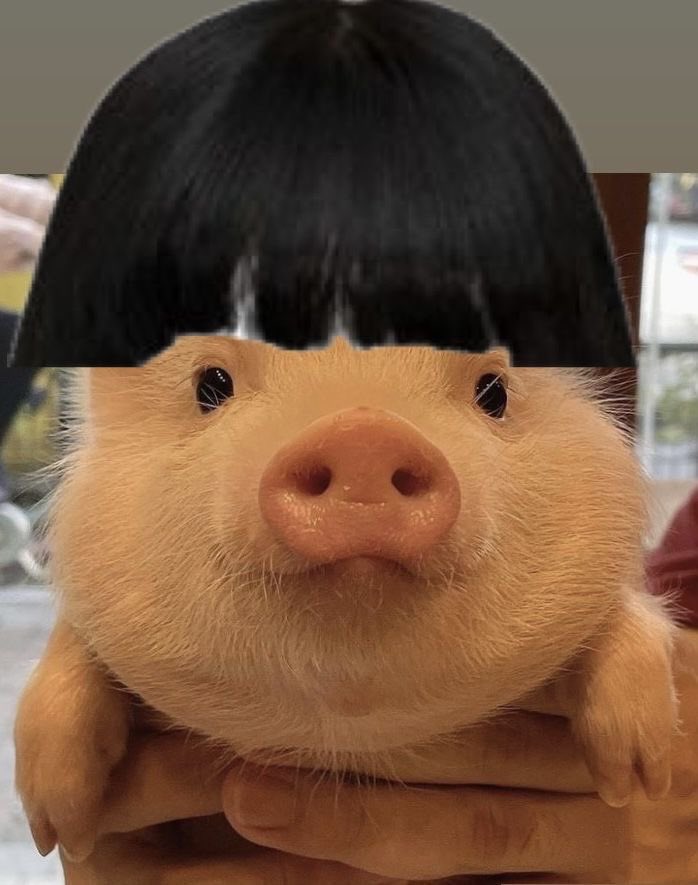 uary ♡ྀི𓈒 (late reply) tweet media