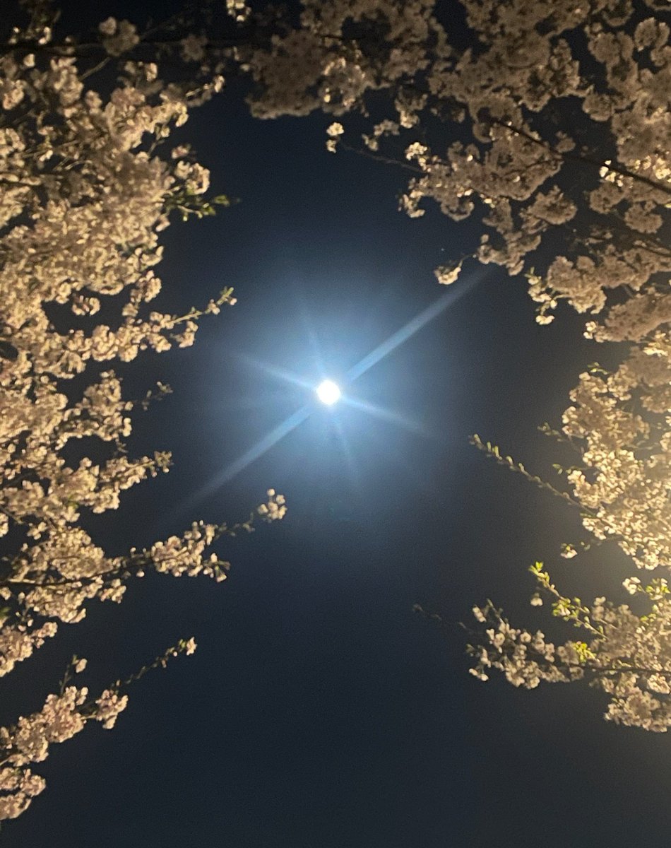 社長の右腕のほくろ＠福祉用具専門相談員 tweet media