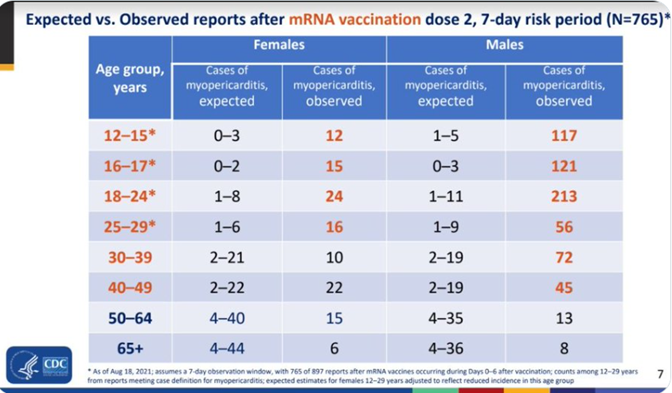 Marlow Steve tweet media
