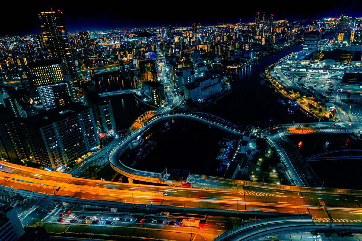 アンモナイト tweet media