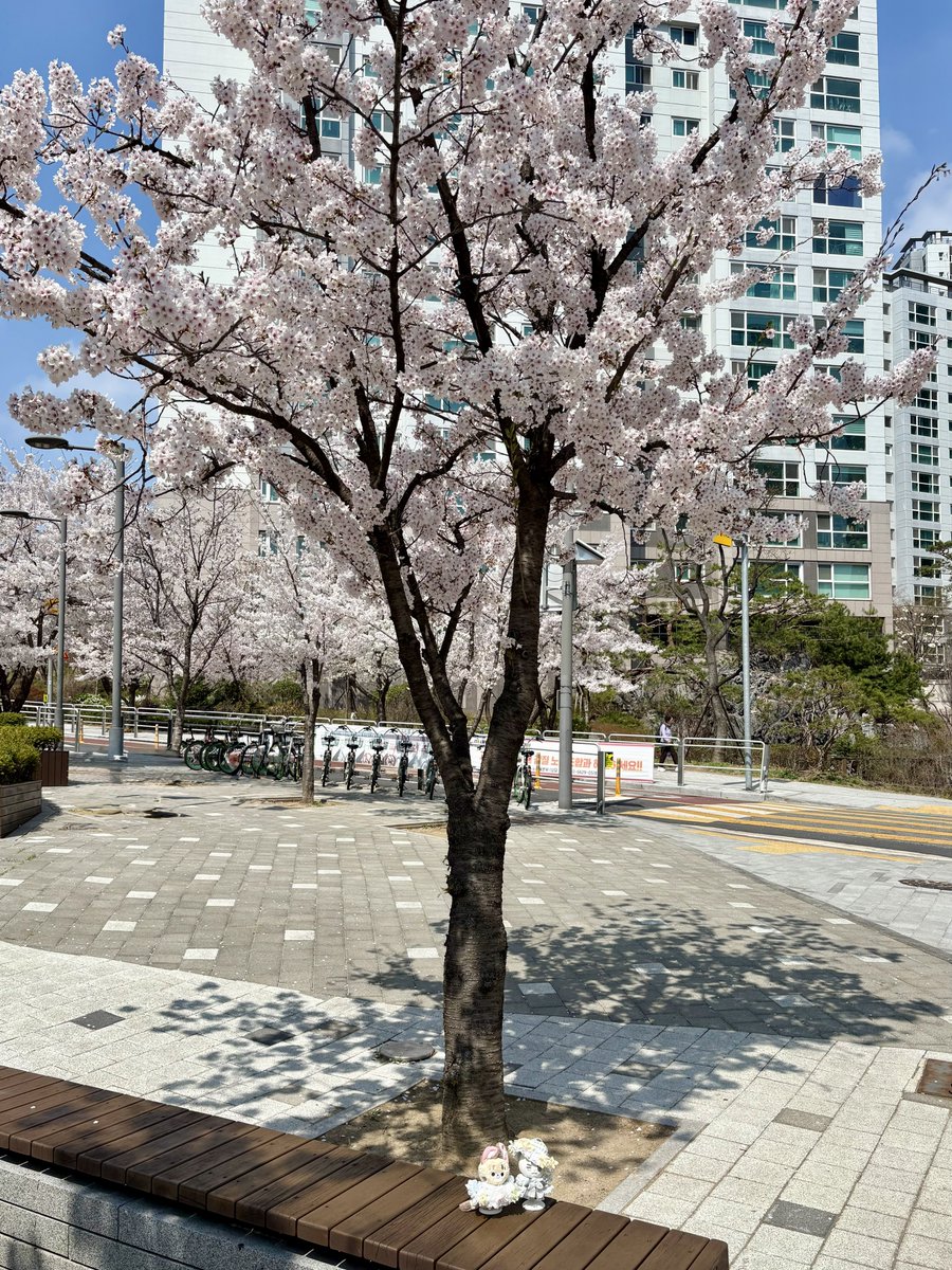 서라운드🔈 tweet media