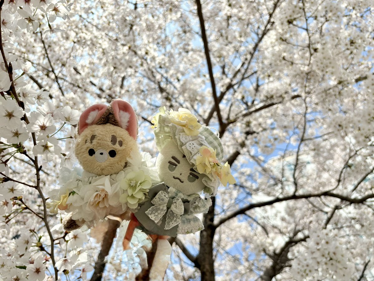 서라운드🔈 tweet media