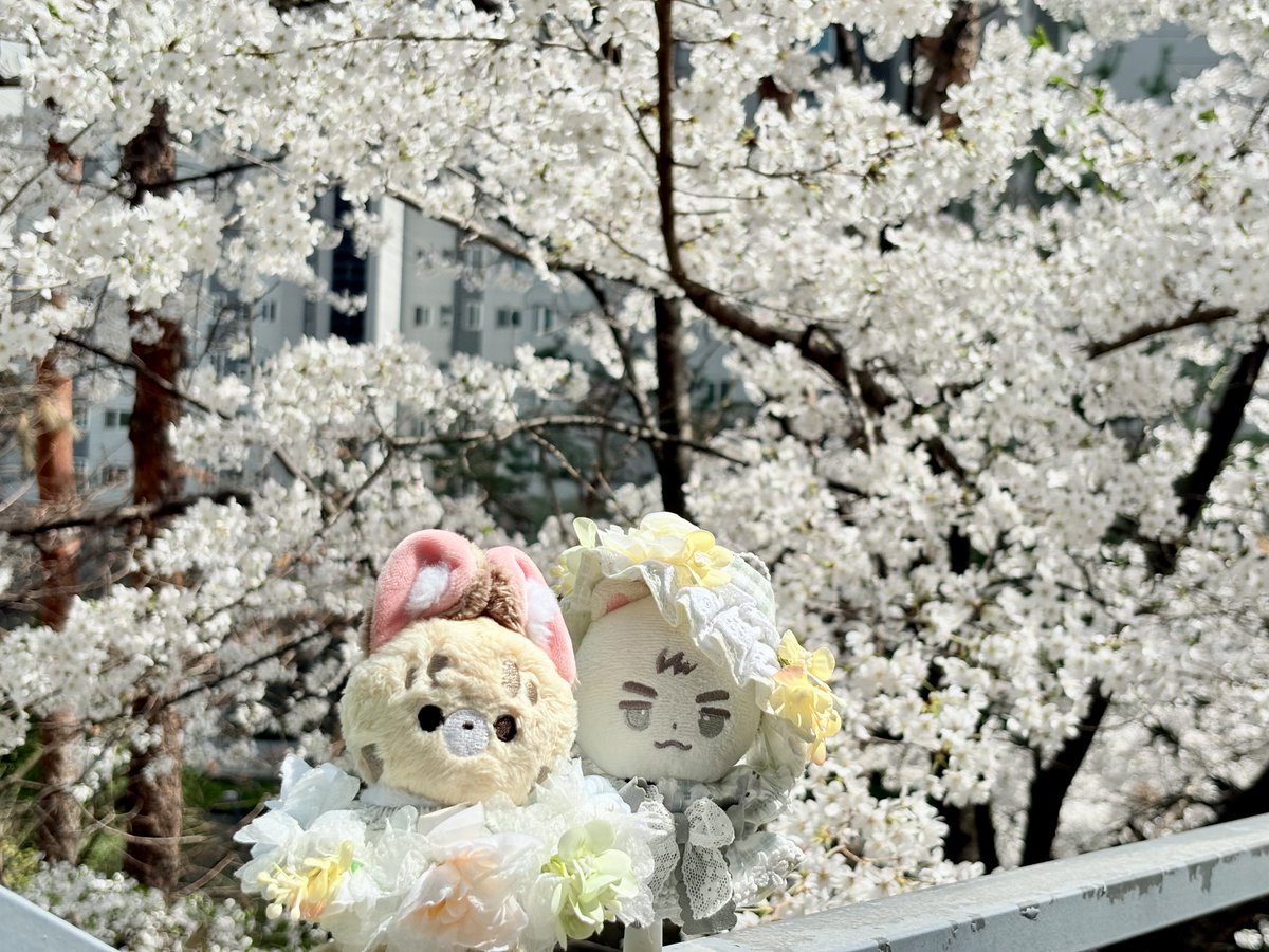 서라운드🔈 tweet media