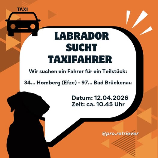 yolanda schultes tweet media