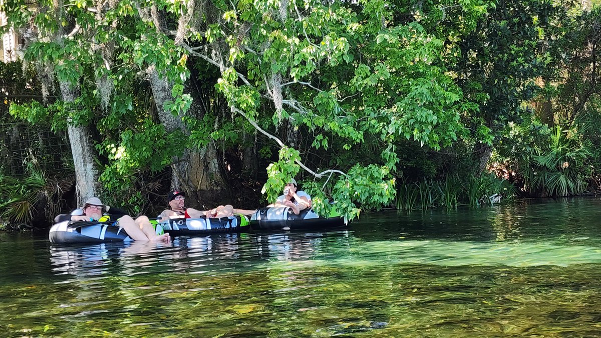 Apocalyzabeth tweet media