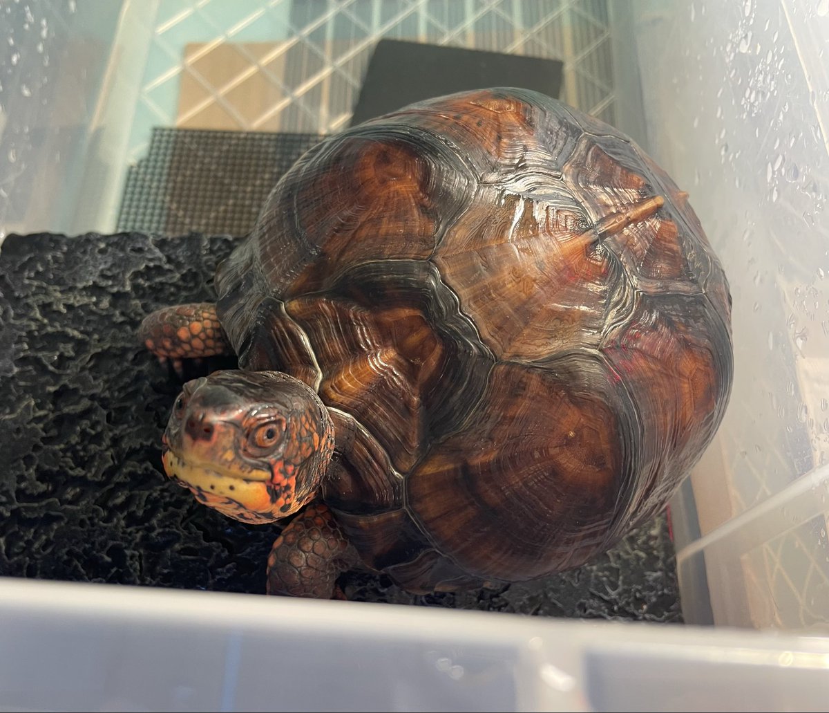 KEN☆○★ tweet media